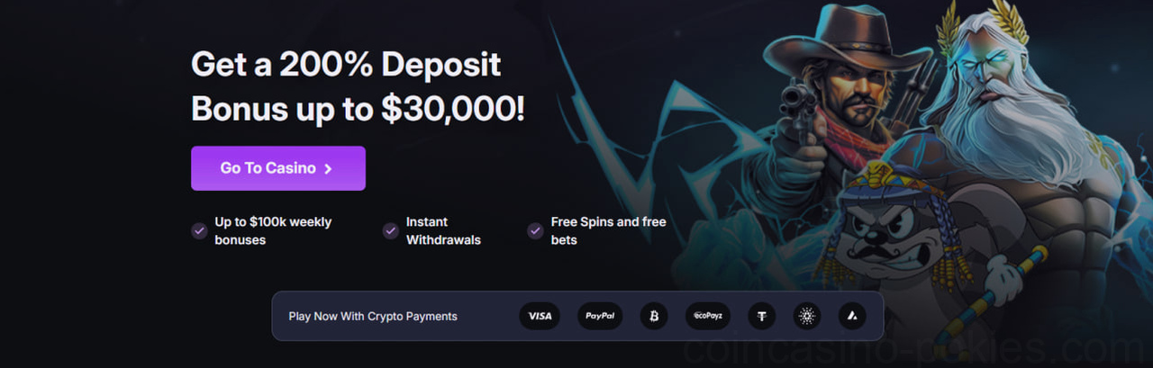 Coin Casino Casino Gaming